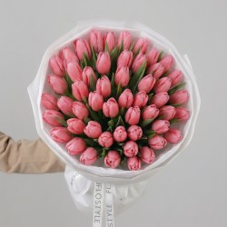 51 rozovyj tyulpan 6